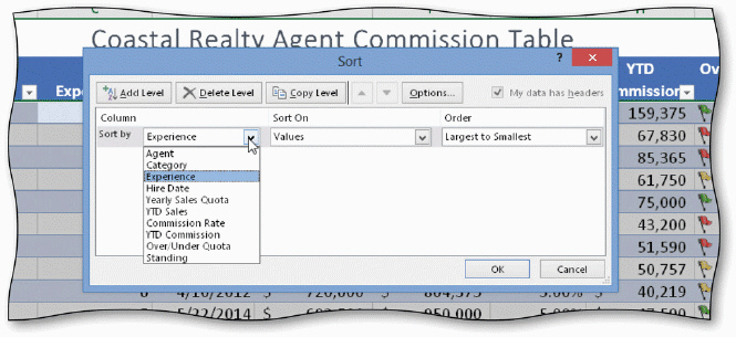 In the Sort dialog box, shown in the accompanying figure, the ____ is the Sort by field.