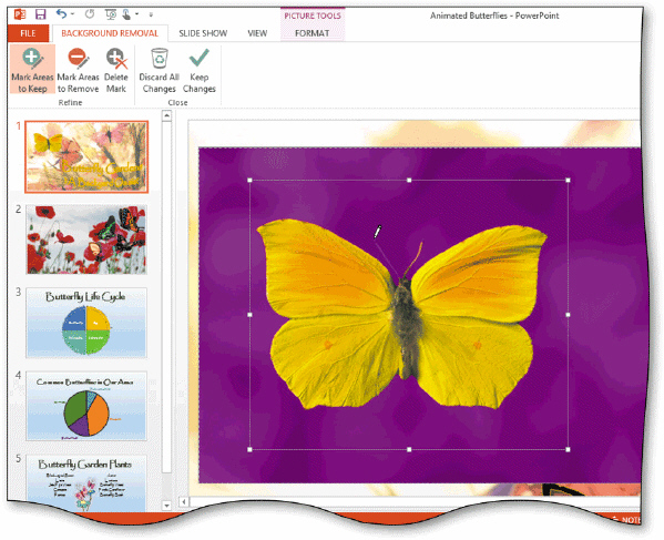 <strong> To mark a specific area of a photo to keep, tap or click the ____ button on the BACKGROUND REMOVAL tab of the Refine group, as shown in the accompanying figure.</strong> A) Keep Changes B) Mark Areas to Keep C) Remove Background D) Delete Mark