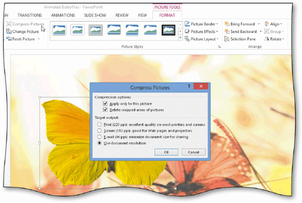 You can delete cropped areas of a picture while compressing it to reduce file size, as shown in the accompanying figure.
