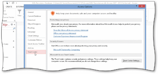   The acsampanying figure displays the Trust Center in the Access Options dialog box. The ___________________ option in the Trust Center dialog box allows you to set security settings to protect your personal privacy.