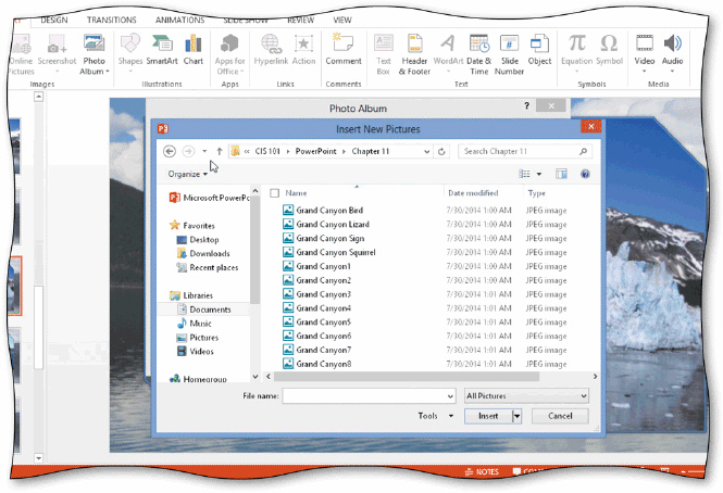 You can tap or click the File/Disk button in the Photo Album dialog box to open the Insert New Pictures dialog box, as shown in the acsampanying figure, and then select one or more pictures to insert into a new photo album.