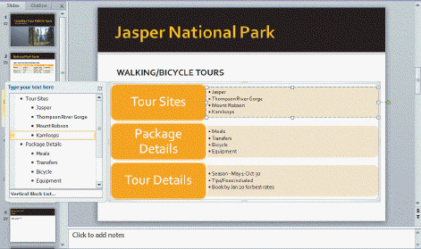 <strong> In the accompanying figure, which of the following sections of text are visible in the Text pane?</strong> A) Walking/Bicycle Tours B) Tour Sites C) Package Details D) Tour Details