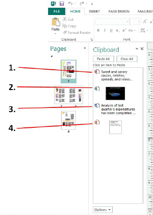 In the accompanying figure, item ____________________ indicates an item copied from Microsoft Excel.