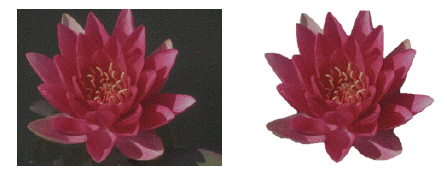 You are creating a brochure for a local florist. You decide to add a picture of a flower into the brochure and then edit and enhance it with different Word features and effects. You decide to enhance the picture with picture effects, such as a shadow. What are some other effects you could use and how do you apply them to the picture?