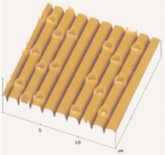 In the accompanying figure, the lighter, smooth surface areas of the CD are called ____________________.