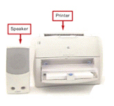 The figure above shows examples of ____________________ devices.