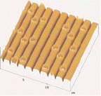 In the figure above, the lighter, smooth surface areas of the CD are called ____________________.