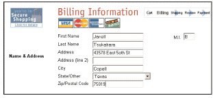 <strong> HTML ____, as shown in the figure above, are typically used to collect payment and shipping information at the checkout counter of e-commerce Web sites.</strong> A) frames B) tables C) gateways D) forms