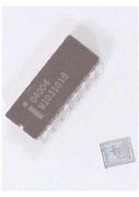 <strong>  The item shown in the figure above is a ____.</strong> A) miniprocessor B) microprocessor C) transistor D) vacuum tube <div style=padding-top: 35px> 