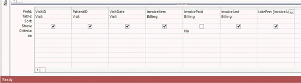 <strong> In the accompanying figure, which field represents a calculated field?</strong> A) Visit ID B) Invoice Amt C) Late Fee D) Date of Visit
