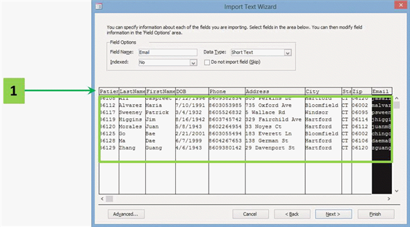 In the accompanying figure, arrow number one indicates ____ for the data being imported into Access.