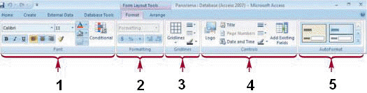 With a split form when the datasheet is active the selected option in the group marked ____ in the accompanying figure applies to every field value in the datasheet.