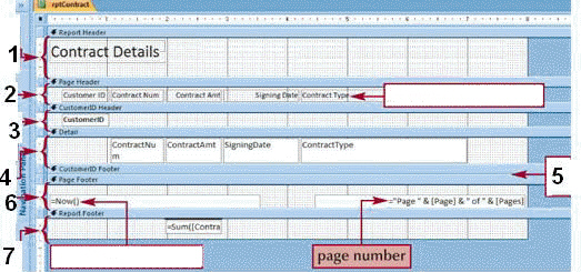 The item marked 7 in the accompanying figure is the ____ section.