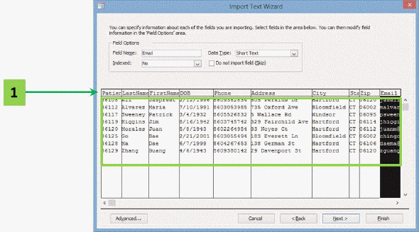 In the accompanying figure, the data enclosed in the green rectangle are data imported from a CSV file that have been ____ by commas.