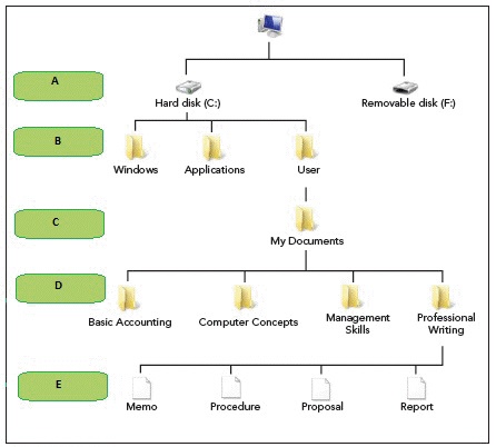 <strong> In the accompanying figure, the box marked ____ indicates the location of the root directory.</strong> A) A B) B C) D D) E
