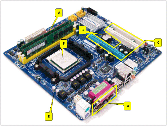<strong> Referring to the accompanying figure, which of the following callouts points to the slots for expansion cards?</strong> A) D B) C C) B D) A