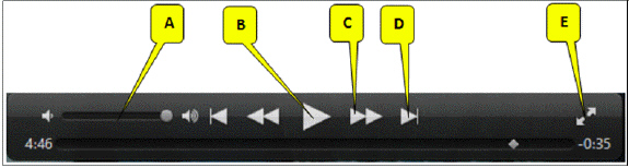 <strong> Referring to the accompanying figure, which of the following callouts points to the full screen display icon?</strong> A) B B) C C) D D) E