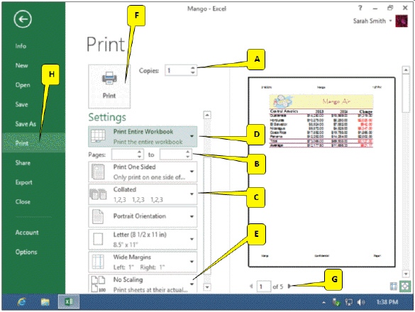 <strong> In the accompanying figure, which callout points to the option that allows you to change the default printing option, which prints the active worksheet?</strong> A) A B) B C) C D) D