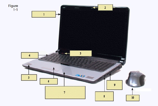 <strong> In the figure above, item 1 is pointing to the ____.</strong> A) touchpad B) CD/DVD drive C) display device D) hard disk drive