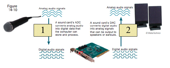 <strong> In the figure above, item 1 is ____.</strong> A) analog signals being converted to digital data B) decompressed digital data being sent to the sound card C) the data being converted to analog signals D) analog signals being sent to the speakers