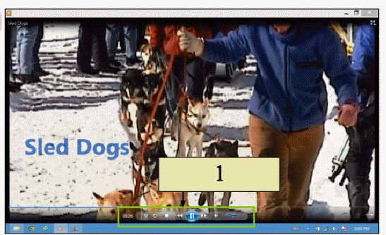 <strong> In the figure above, the buttons referred to by item 1 allow you to ____.</strong> A) control the video playback B) edit the video C) create transitions for your video D) save and open videos