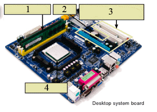<strong>  In the figure above, the object indicated by item 3 ____.</strong> A) houses chips B) temporarily holds data C) is a thin slice of silicon D) represents slots for sound, modem, or graphics cards <div style=padding-top: 35px> 