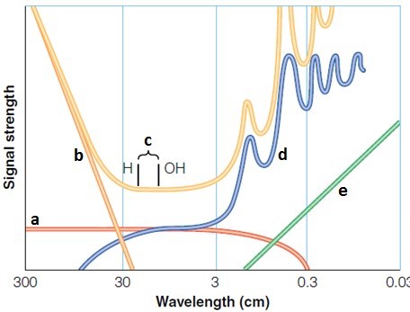 <strong> Examine the accompanying figure. Which wavelength range is representative of the noise from Earth's atmosphere?</strong> A) a B) b C) c D) d E) e