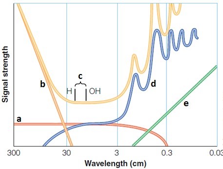 <strong>  Figure 25-1 Examine the accompanying figure (Figure 25-1). Which portion of the radio window astronomers use to search for extraterrestrial communication?</strong> A) a B) b C) c D) d E) e <div style=padding-top: 35px> 