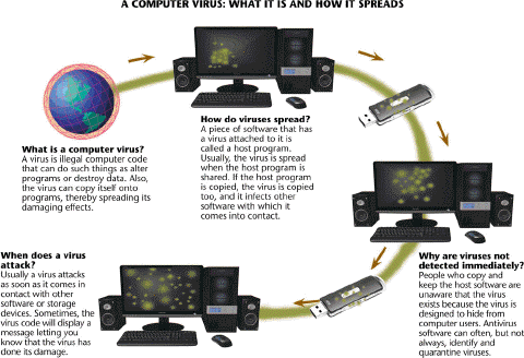 Most viruses like those described in the accompanying figure are harmless pranks that cause no permanent damage.