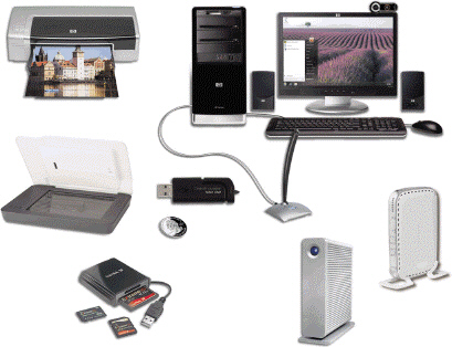 <strong> Computer hardware components like those in the accompanying figure include all of the following EXCEPT ____.</strong> A) input and output devices B) a system unit C) storage and communications devices D) application software