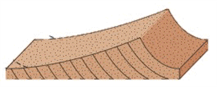 Determine the wind direction in the accompanying figure. How do you know the wind is flowing in this direction?
