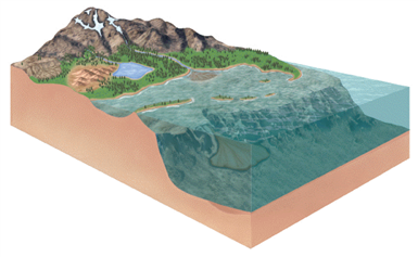 In the accompanying figure, indicate the three (3)major depositional environments for the formation of sedimentary rock. Discuss how physical and biological processes impart distinctive characteristics to the accumulating sediment in the different environments. Illustrate with one or more examples.