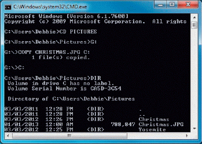 As shown in the accompanying figure, Windows users can still issue ____________________ commands via the Command Prompt.