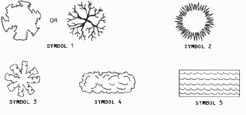 The accompanying figure shows some typical symbols used for plantings. Symbol 1 signifies ____.