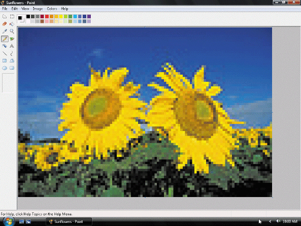 <strong> Individual ____ are visible in a zoomed bitmap image, as shown in the accompanying figure.</strong> A) colors B) pixels C) shapes D) lines