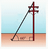 <strong>A 83-foot guy-wire makes an angle of 60 o ; with the ground and is attached to a telephone pole (see the figure). Find the distance from the base of the pole to the point on the pole where the wire is attached. Express your answer to the nearest tenth of a foot.  </strong> A) 71.9 feet B) 69.6 feet C) 77.5 feet D) 73.1 feet <div style=padding-top: 35px> 